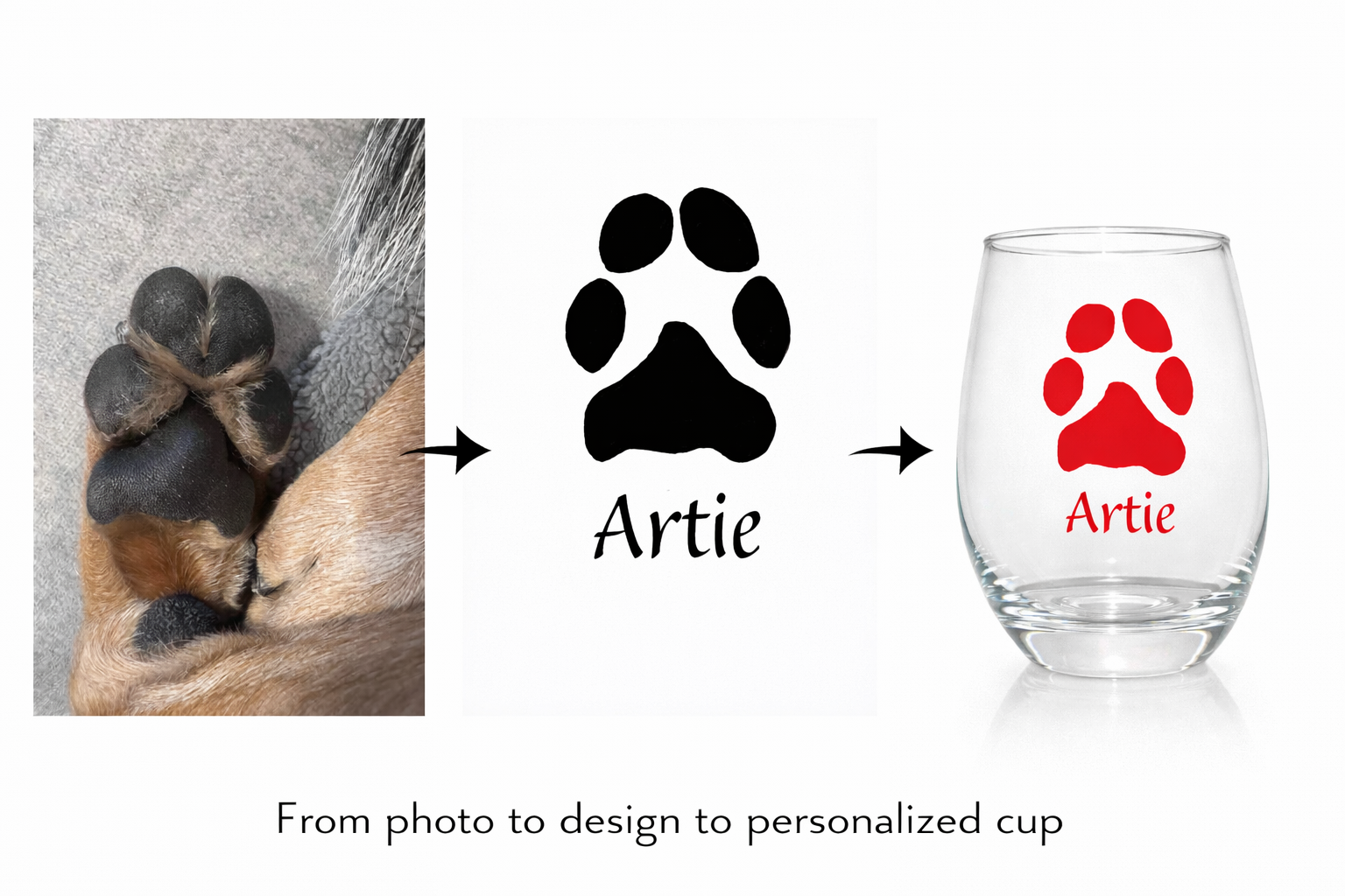 Design of Your Pet's Paw