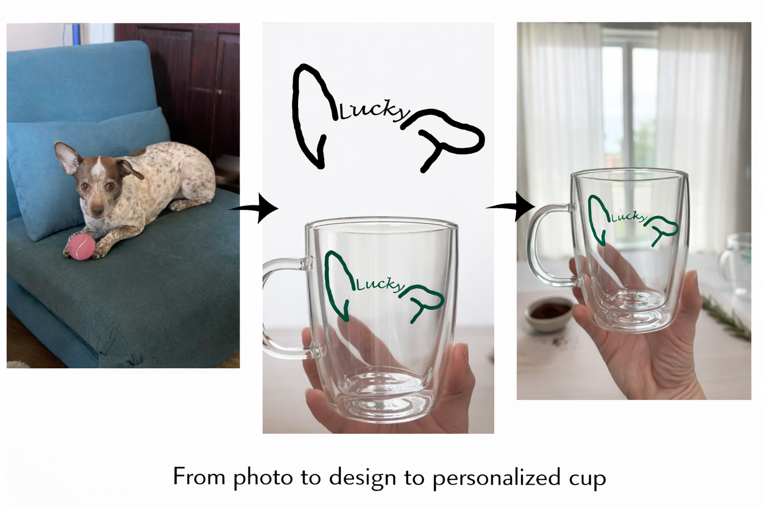 Design of Your Pet's Ears